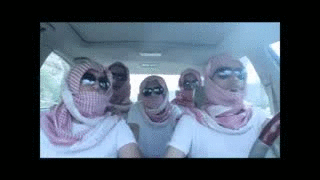 5xdi.gif