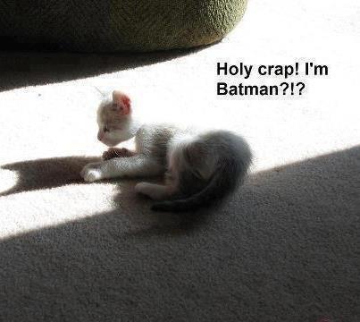 tumblr_mgrwxjMPRK1s2v8teo1_500.jpg