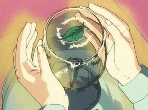 anime-anime-gif.gif