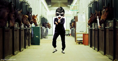 tumblr_n85x4s7grZ1qda6uso7_r1_500.gif
