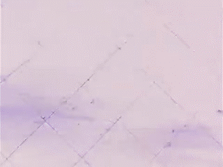 rqwEBlM.gif