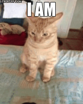 edd8157a7f9462315351538c6616d4d8.gif
