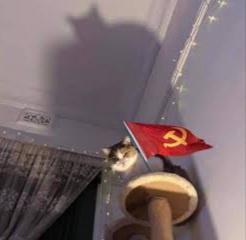 0wcArFu.jpg