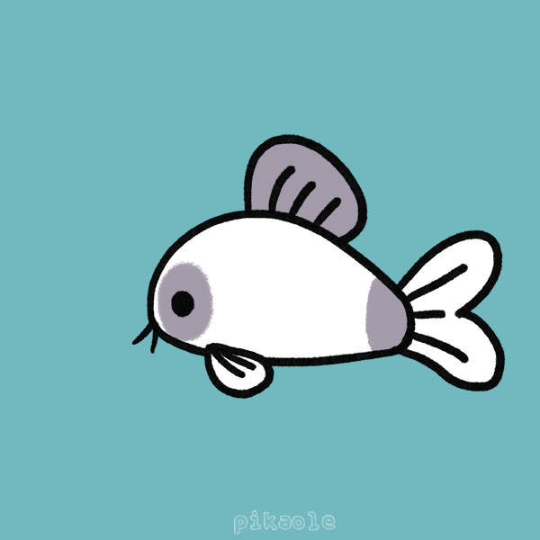 U9Xcf53.gif