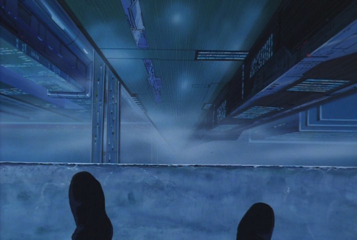 tumblr_pcu953SsDa1rl2paso8_1280.jpg