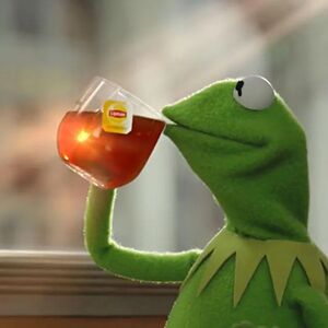 300px-Kermit_Drinking_Tea.jpg