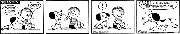 XVqSR9W.png