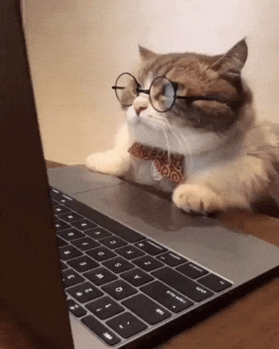 53525636537_c40e415c2c_o_d.gif