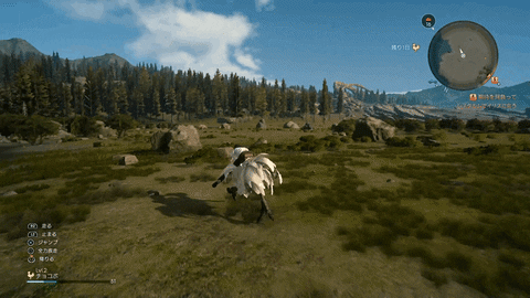 giphy.gif