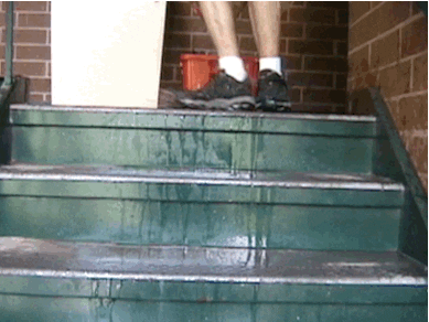 giphy.gif