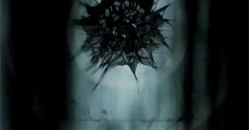 tumblr_nbq5qfBMzT1tg3a8ao1_500.gif