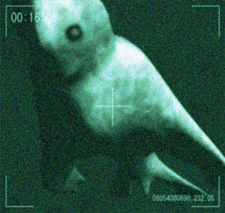 ningen3.jpg