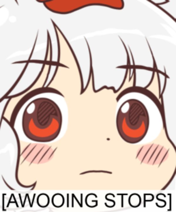 YnqybHg.jpeg