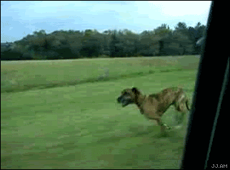1205394166093.gif