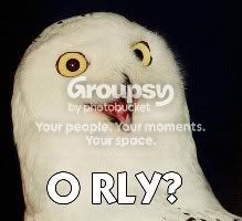 orly_owl.jpg
