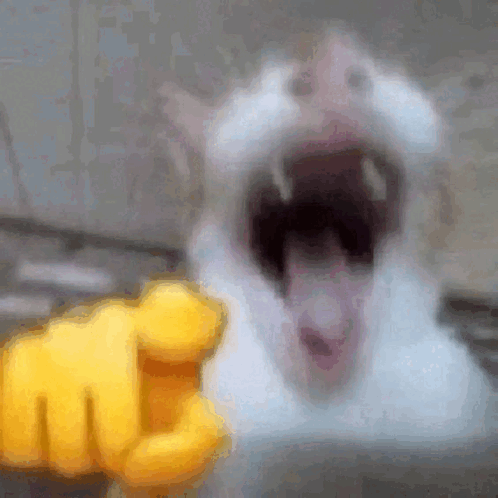 vuknok.png