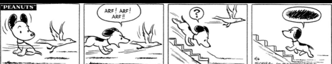 zRuupFX.jpg