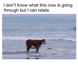 EI3rdtJm.jpg