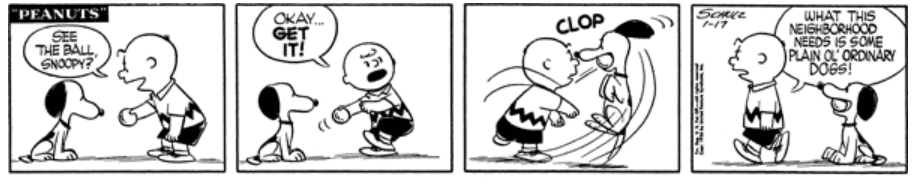 9rZHgbP.png