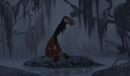 88e35a4b2c3b95563ffd874f072826d2.gif
