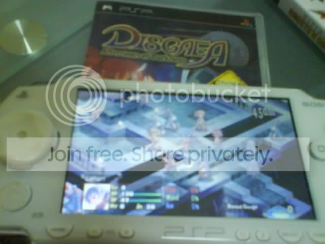 DSC00137.jpg