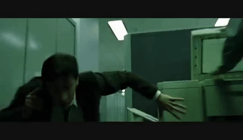 50113094702_fdd6812c3c_o_d.gif