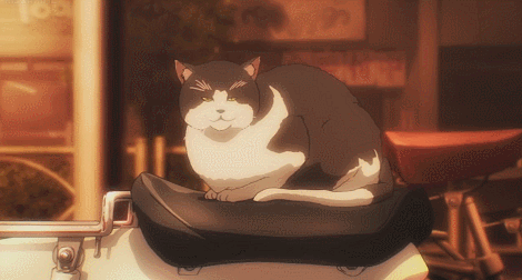 sV5173V.gif