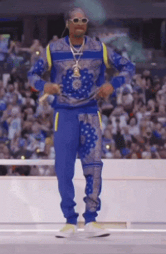 snoop-dogg-superbowl.gif