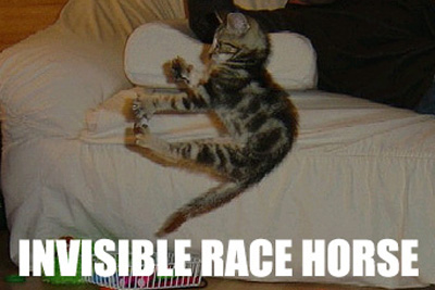 invisible-racehorse.jpg