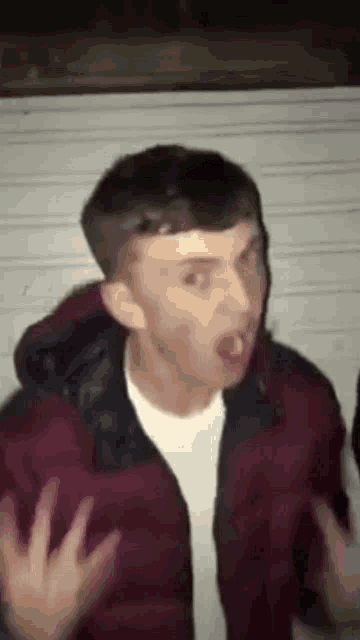 avarage-fan.gif
