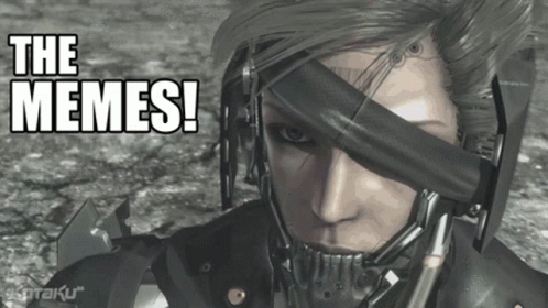metal-gear-rising-the-memes.gif