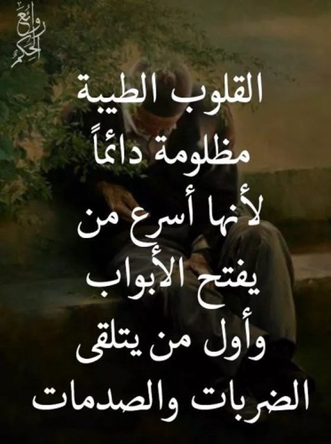 BU7RMg8l.jpg