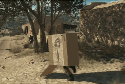 giphy.gif