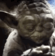 yoda-closed-eyes.gif