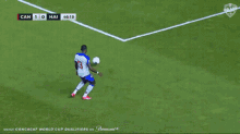 haitian-haiti.gif