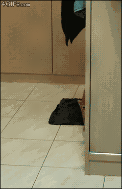 ka0VM.gif