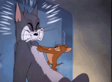 tom-and-jerry-slam.gif