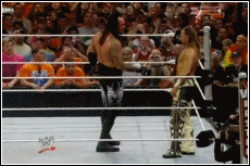 p_3007wfc4b0.gif