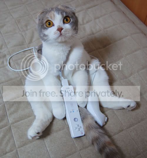 tumblr_kq27zhInwR1qzs467o1_500.jpg