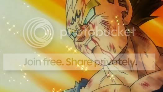 vegetassacrifice5.jpg