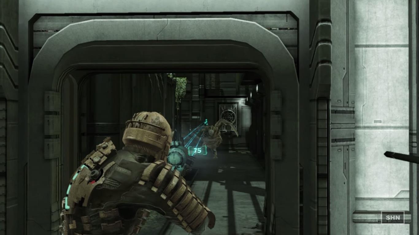 shooting-limbs.jpg