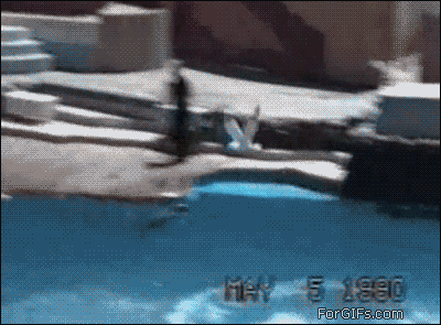 7V8m3.gif