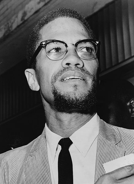 malcolmxwasbisexual.jpg