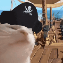 pirate-catjam.gif