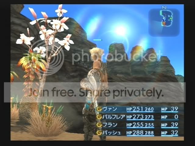 FFXII18.jpg