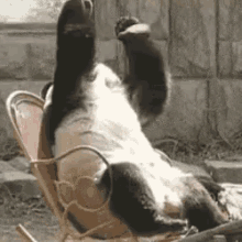 15adb8ae5cf59ebcfe673bd84b58150f.gif