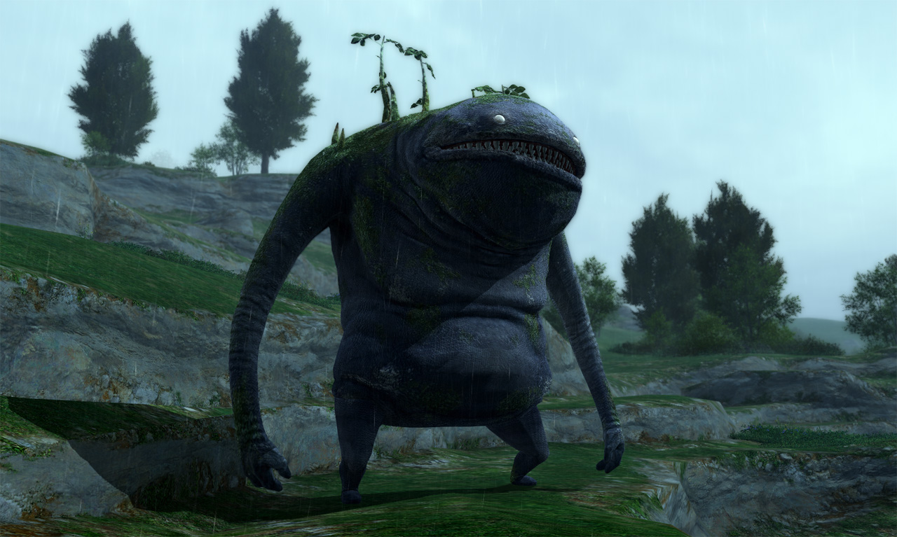ff23.jpg