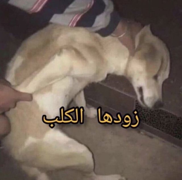 566677537.jpg