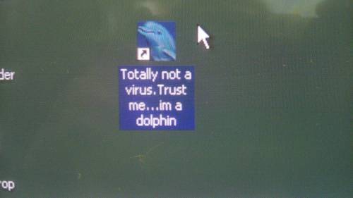 tumblr_lqif1rslF71qkej80o1_500.jpg