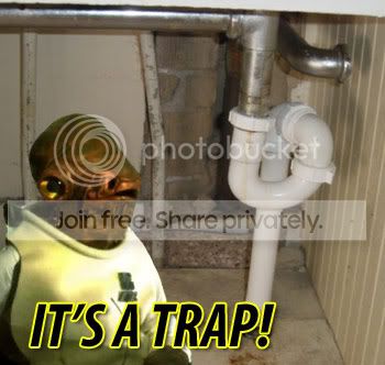 trap.jpg